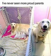 Image result for Cute Baby and Dog Memes
