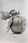Image result for Apple Fruit Still Life Drawing