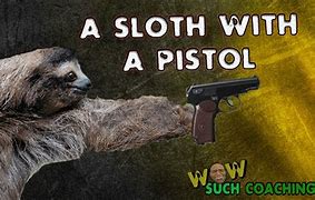 Image result for Sloth with Gun