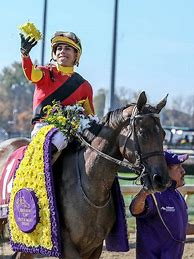 Image result for Horse Racing Nation Breeders' Cup