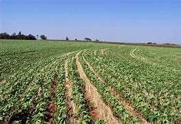 Image result for agriculto4