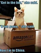 Image result for Cat in a Plastic Box Meme