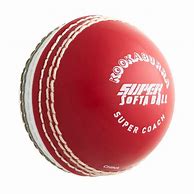 Image result for Rebel Cricket Ball