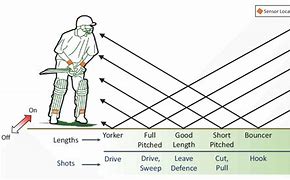 Image result for Labelled Diagram of Cricket Equipment