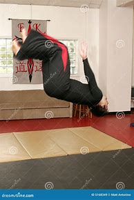 Image result for Flip Kick Martial Arts