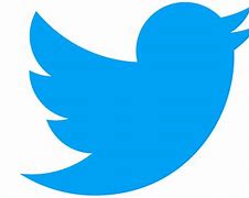 Image result for Official Twitter Logo Icon