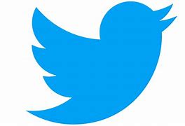 Image result for Twitter Logo X11