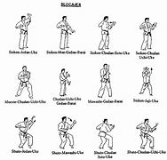 Image result for Different MMA Styles
