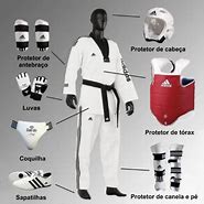 Image result for Taekwondo Equipment Pads