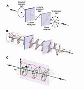 Image result for Linear and Circular Polarization