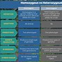 Image result for Homozygous and Heterozygous Alleles