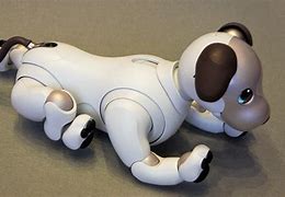 Image result for Aibo No Shell