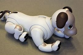 Image result for Aibo Paw