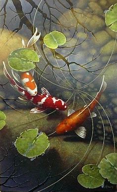 (Canada) Rigamarole by Terry Gilecki (1954- ). acrylic. ultra-realistic painting. | Fish art, Koi art, Koi painting