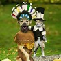 Image result for Funny Thanksgiving Greetings Message