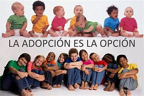Image result for adopciojista