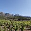 Image result for Conreria d'Scala Dei Priorat Conreria