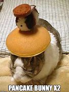 Image result for Pancake Bunny Meme