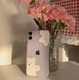 Image result for Clear Bear Phone Case