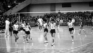 Image result for Volleyball World Championship