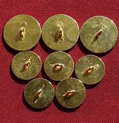 Image result for Gold Plated Button