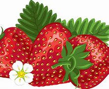 Image result for Strawberry Cartoon HD Vector