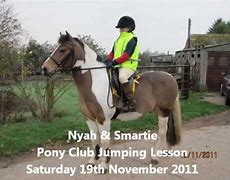 Image result for Pony Club Show Jumping