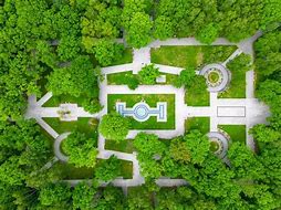 Image result for High Angle Garden Trees