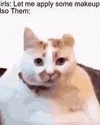 Image result for Business Cat Says Meme