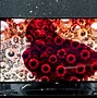 Image result for LG 4K OLED TV Screen Wallpaper
