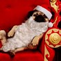 Image result for Santa's Dog Pun
