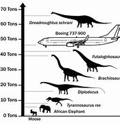 Image result for Biggest Dinosaur Fossil Ever Found