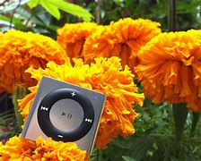 Image result for New iPod Shuffle