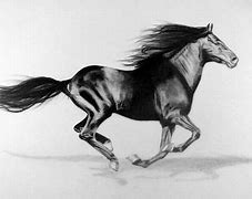 Image result for Thoroughbred Horse Drawing