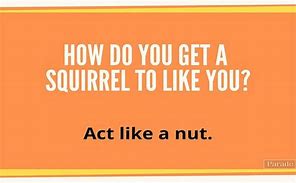 Image result for Romantic Nut Puns