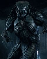 Image result for AVP Celtic Predator