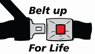Image result for Blue Jay Seat Belt Safety