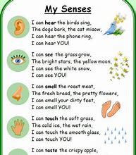 Image result for Sense Organ Poem