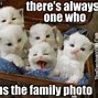 Image result for White Cat Head Meme