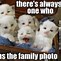Image result for White Cat Crazy Meme