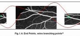 Image result for Finger Vein Recognition