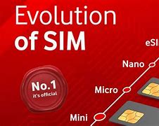 Image result for iPhone Esim Chip