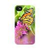 Image result for Dark Green Butterfly iPhone Case