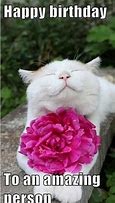 Image result for Happy Birthday Cat Lady Meme