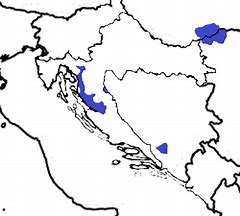 Image result for Bunjevci