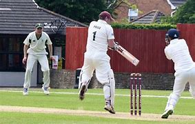 Image result for Looking Cricket Match