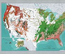 Image result for United States National Forests Map