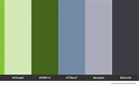 Image result for What Is iPhone X Colors