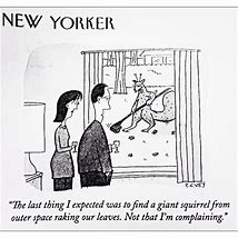 Image result for New Yorker Memes