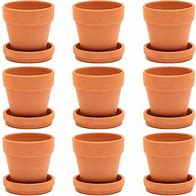 Image result for Plant Pots